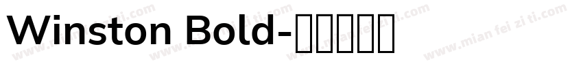 Winston Bold字体转换